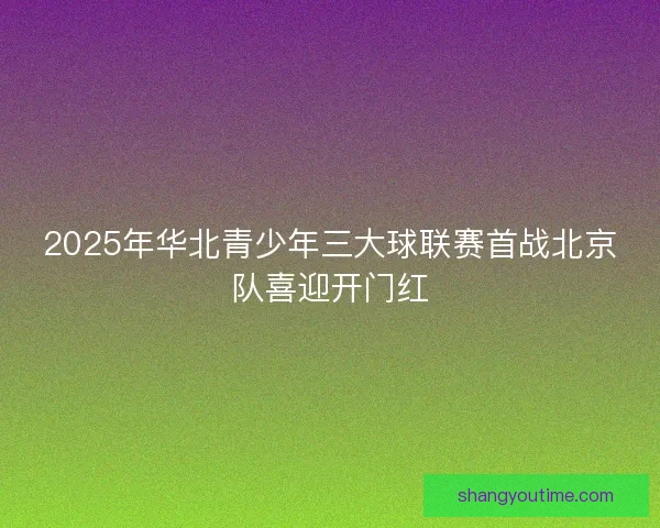 2025年华北青少年三大球联赛首战北京队喜迎开门红