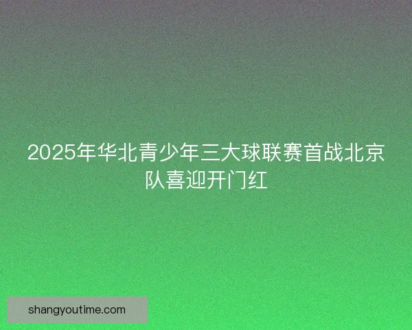 2025年华北青少年三大球联赛首战北京队喜迎开门红