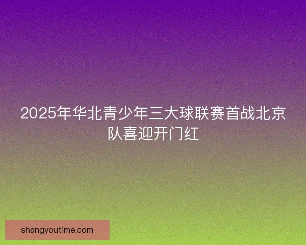 2025年华北青少年三大球联赛首战北京队喜迎开门红